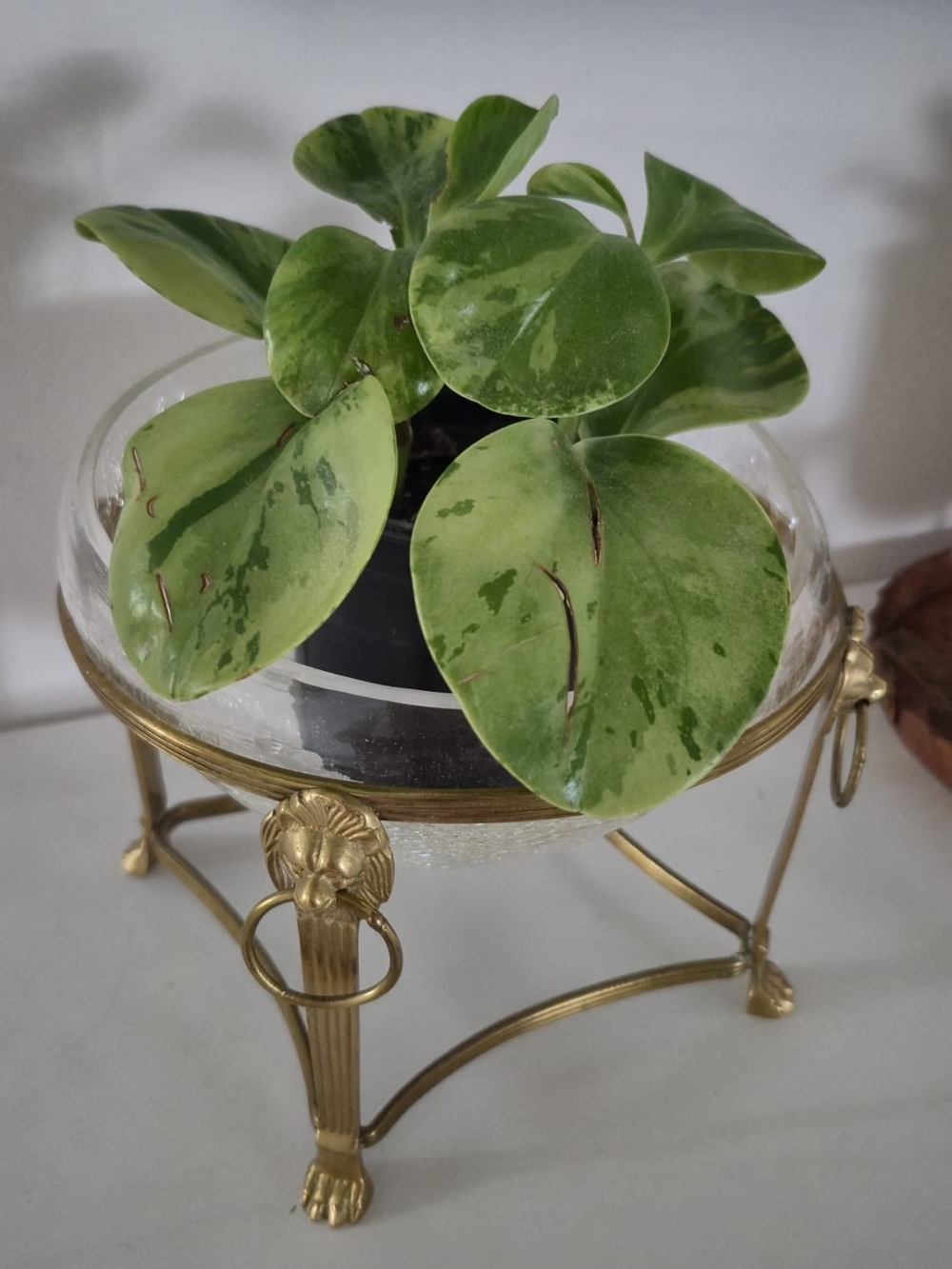 Vintage Hollywood Regency Brass & Crackle Glass Centerpiece / Planter